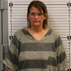 Mugshot of FOLKERTS, CHASITY  